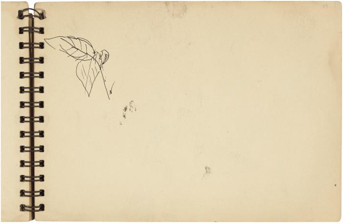 [Plant study]



Gyral Sketch Book 2, page 37