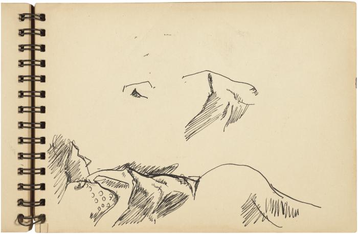 [Reclining woman / drapery studies]



Gyral Sketch Book 2, page 22