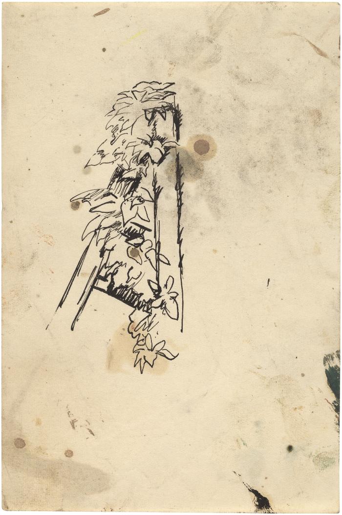 [Foliage on trellis]