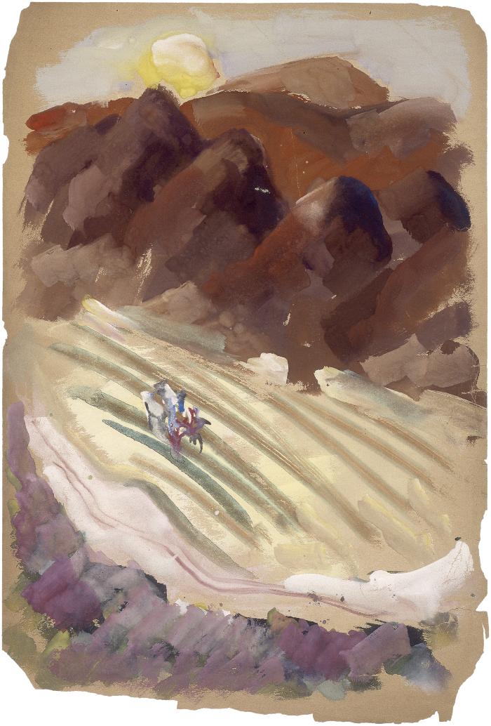 [Agricultural landscape]