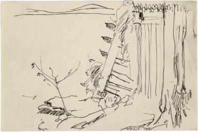 [Landscape with fence]