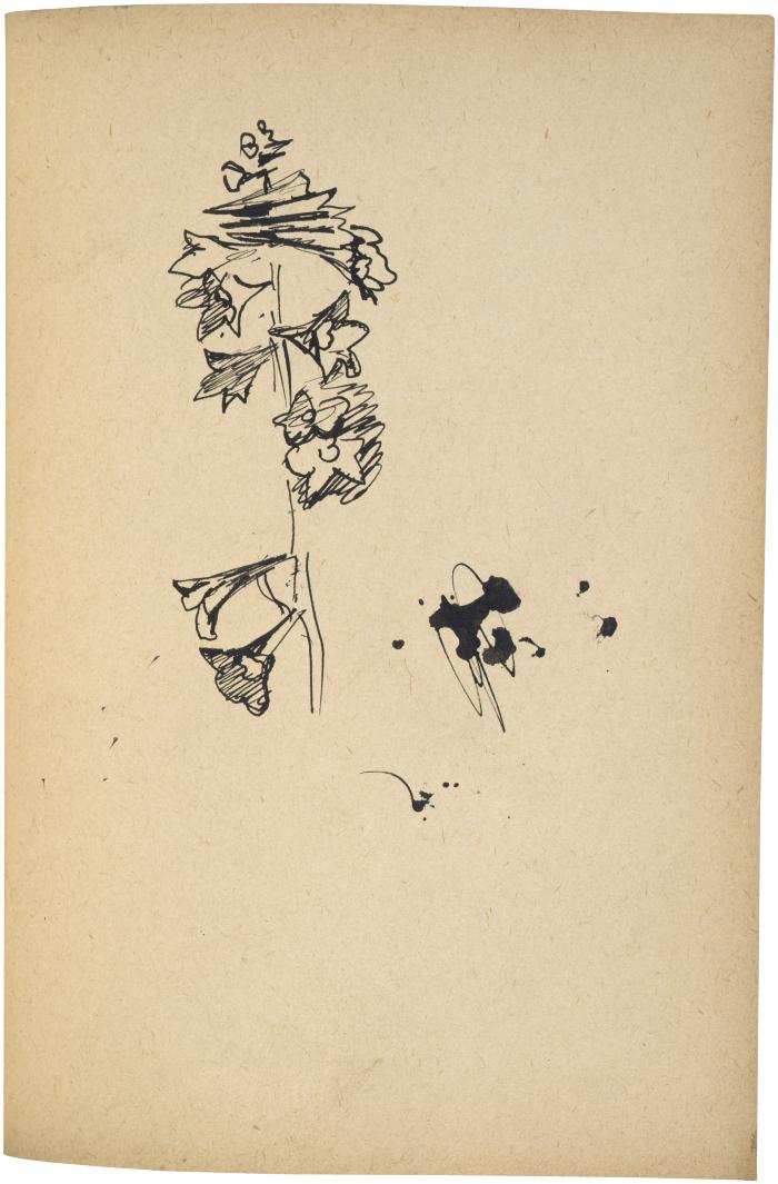 [Flowers] The Scribble-In Book, page 16