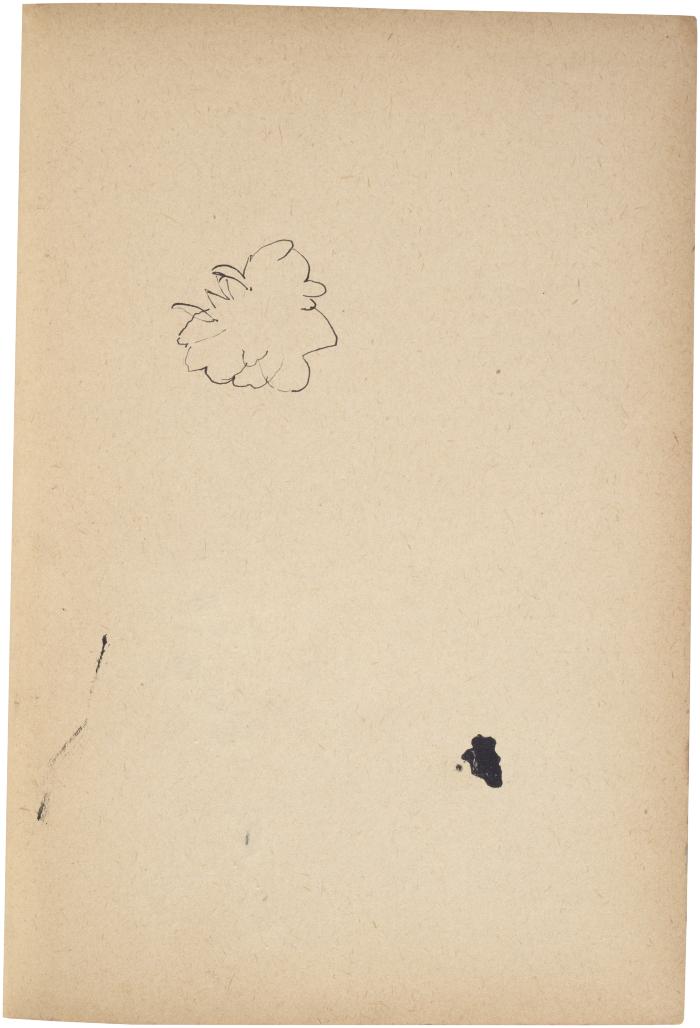 [Flower] The Scribble-In Book, page 25