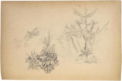 [Foliage] The Scribble-In Book, page 67