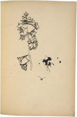 [Flowers] The Scribble-In Book, page 16